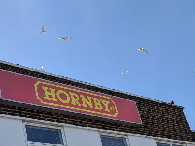 Bird Control for Thanet Schools and Retail Parks – Keeping Public Spaces Safe