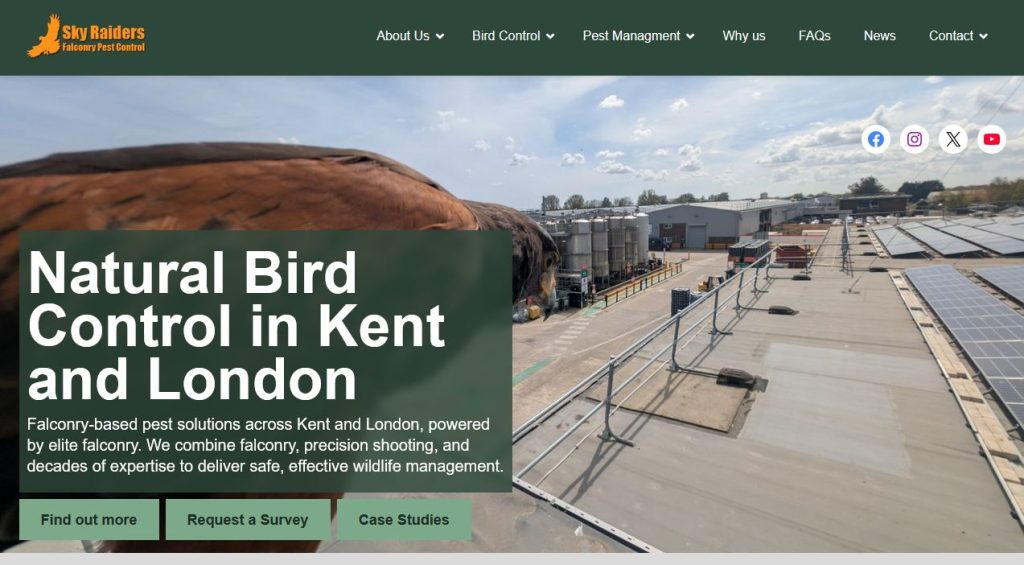 🎉 Our New Website is Live! 🎉