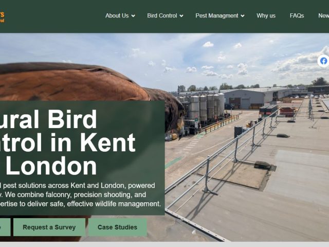 🎉 Our New Website is Live! 🎉