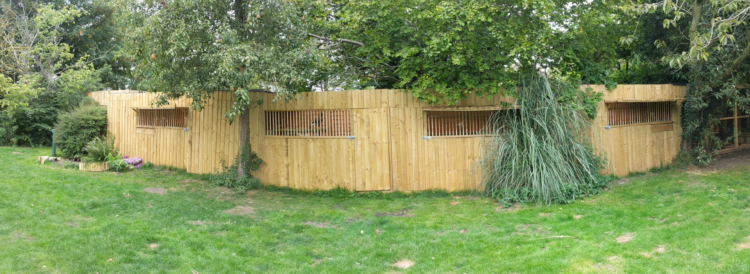 The garden